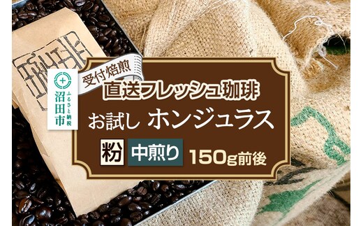 《受付焙煎》直送フレッシュ珈琲 お試し ホンジュラス【粉／中煎り】約150g 珈琲倶楽部 沼田店
