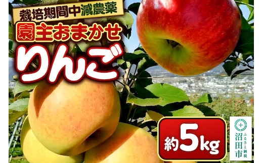 りんご 5kg 園主おまかせ 果樹園マンサーナ [林檎 りんご リンゴ 品種おまかせ]