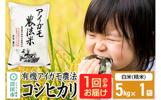 【白米】令和7年産 有機アイガモ農法コシヒカリ 5kg×1袋 金井農園 [こしひかり コシヒカリ 白米 精米 お米 1回だけ 1回のみ]