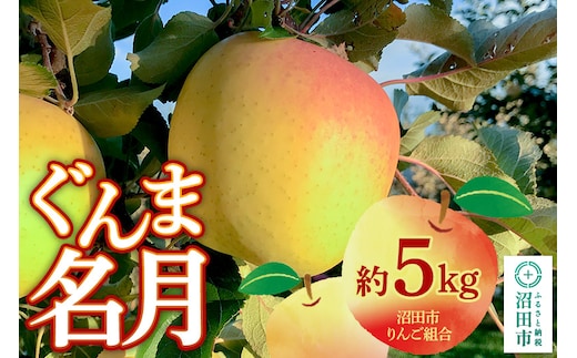 《11月中旬～12月上旬発送》沼田市りんご組合 りんご（ぐんま名月）約5kg 群馬県沼田市