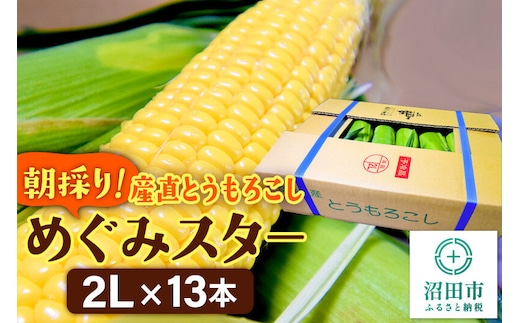 《8月上旬～下旬発送》朝採りとうもろこし めぐみスター 2Lサイズ13本【群馬県沼田市利根町産】 [【野菜単品】トウモロコシ とうもろこし スイートコーン スウィートコーン 恵味スター]