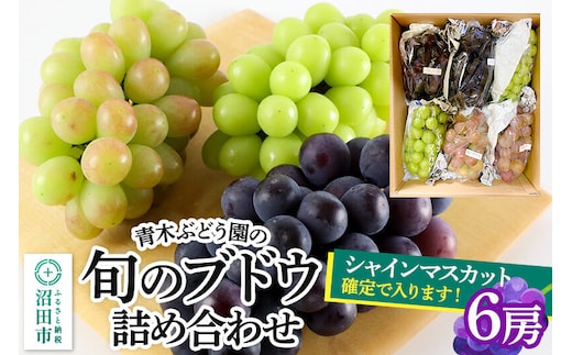 《9月上旬～下旬発送》青木ぶどう園の旬のブドウ詰め合わせ 6房 [お任せ おまかせ 葡萄 ぶどう ブドウ 群馬県 沼田市 シャインマスカット フルーツ くだもの 果物 詰め合わせ]