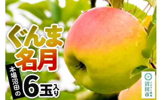 《2026年11月下旬～12月中旬発送》先行予約 果実の里 原田農園 ぐんま名月 1箱 6玉入り