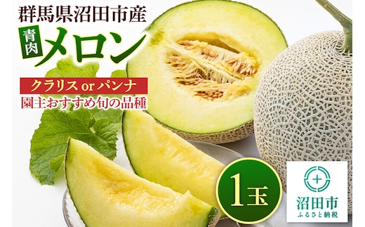 沼田市産 メロン 1玉（約1.5～2kg） クラリス、パンナのどちらかから園主おすすめの旬のメロンをお届け！ [めろん 園主が厳選 なめらか食感 濃厚な甘み さっぱり 歯ごたえ食感 濃厚な味わい くらりす ぱんな 群馬県 沼田市]