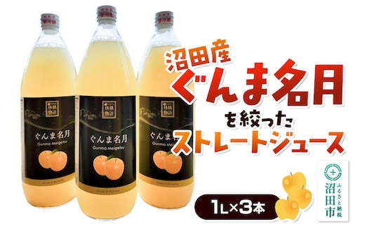 沼田産ぐんま名月だけを搾ったストレートリンゴジュース 3本セット 真田りんご園