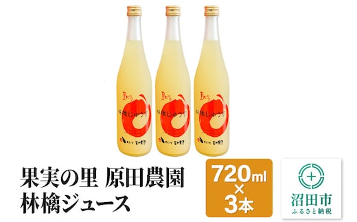 果実の里 原田農園 林檎ジュース 720ml×3本 りんごジュース ストレート100％果汁
