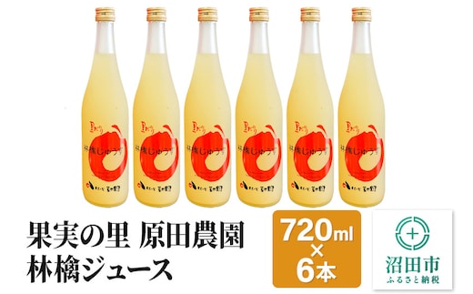 果実の里 原田農園 林檎ジュース 720ml×6本 りんごジュース ストレート100％果汁