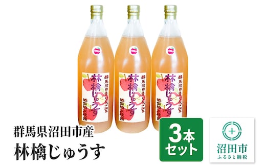 群馬県沼田市産 林檎じゅうす1000ml（リンゴジュース）3本セット