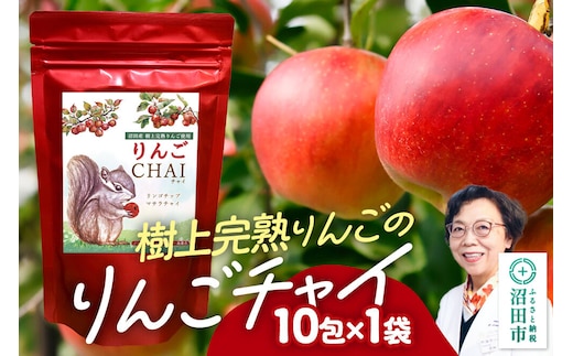 りんごチャイ 3g×10包 1袋 タグひも付きティーバッグタイプ [林檎 りんご リンゴ はとむぎ ハトムギ あっさむ アッサム しなもん シナモン 生姜 ジンジャー スパイス ちゃい]