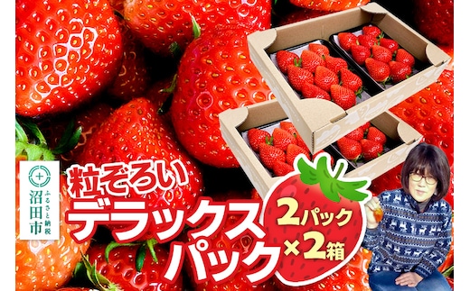 《2026年1月上旬～2月上旬発送》粒ぞろい「やよいひめ」デラックスパック 2箱4パック入り（280g×4）山口いちご園 苺 イチゴ いちご