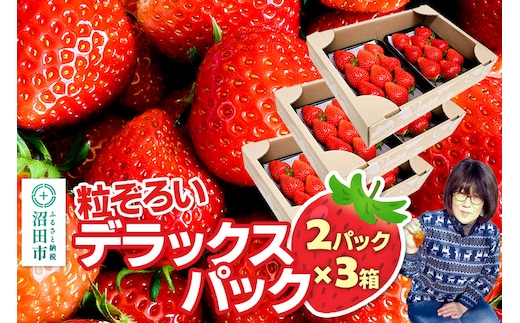 《2026年1月上旬～2月上旬発送》粒ぞろい「やよいひめ」デラックスパック 3箱6パック入り（280g×2）山口いちご園 苺 イチゴ いちご