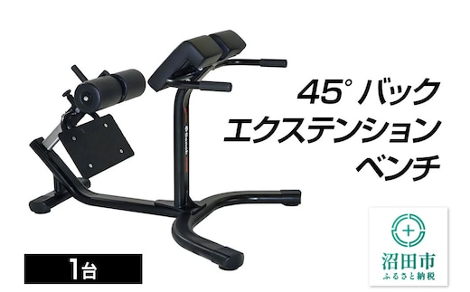 《3月31日受付終了》SS-G 45°バックエクステンションベンチ BN531000 トレーニング器具 筋トレ ホームジム ウエイト 株式会社セノテック [筋トレ 筋肉 器具 フィットネス マルチ トレーニング 運動 ボディメイク 自宅 ホームジム スポーツ]