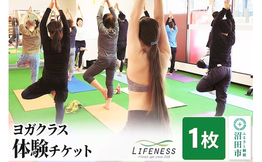 ヨガ クラス体験チケット 1枚 フィットネスジムLIFENESS