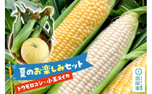《7月下旬～9月上旬発送》夏のお楽しみセット とうもろこし3本～4本と小玉スイカ1個のセット [【野菜セット】トウモロコシ スイートコーン スウィートコーン 西瓜 すいか]