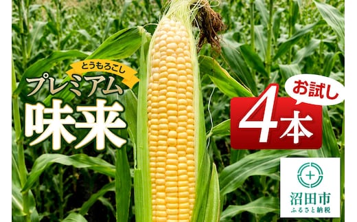 《7月下旬～9月上旬発送》とうもろこし プレミアム味来 お試しセット（4本）山口いちご園