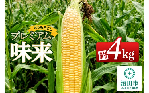 《7月下旬～9月上旬発送》とうもろこし プレミアム味来 約4kg（8～12本）山口いちご園