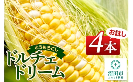 《7月下旬～9月上旬発送》とうもろこし ドルチェドリーム お試しセット（4本） 山口いちご園