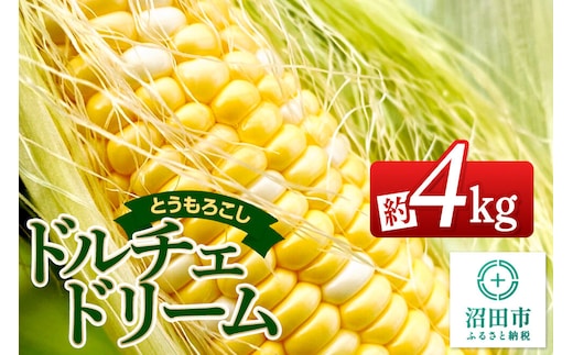 《7月下旬～9月上旬発送》とうもろこし ドルチェドリーム 約4kg（8～12本） 山口いちご園