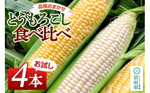 《7月下旬～9月上旬発送》とうもろこし食べ比べ お試し4本セット 山口いちご園