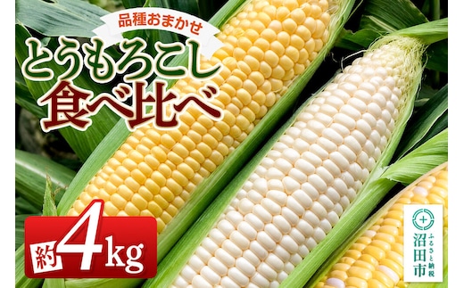《7月下旬～9月上旬発送》とうもろこし食べ比べ 約4kg（8～12本）詰め合わせセット 山口いちご園