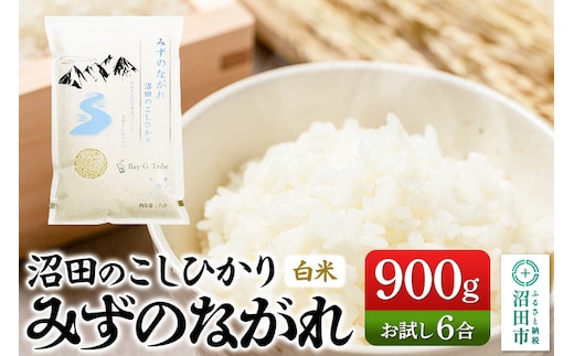 令和7年産 沼田のこしひかり「みずのながれ」お試し六合 900g 群馬県沼田市産 精米 白米 コシヒカリ