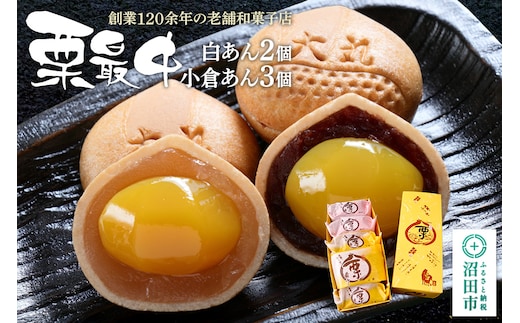栗最中 2種 計5個 詰め合わせセット（白餡2個、小倉餡3個）大丸屋製菓