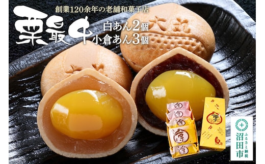 栗最中 2種 計5個 詰め合わせセット（白餡2個、小倉餡3個）大丸屋製菓 [老舗 和菓子 伝統 銘菓 栗 くり クリ 最中 もなか モナカ 餡子 あんこ アンコ 手土産 食べ比べ 味比べ]