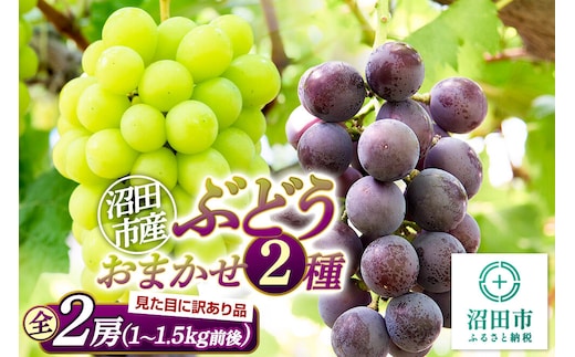 沼田市産 ぶどう おまかせ2種 全2房 (約1kg～1.5kg) ご家庭用 まるいぶどう園 [葡萄 ぶどう ブドウ ご家庭用]
