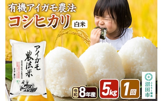 《令和8年産 新米予約》【白米】有機アイガモ農法コシヒカリ 5kg×1袋 金井農園 [先行予約 新米 こしひかり コシヒカリ 白米 精米 お米 1回だけ 1回のみ]