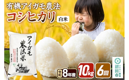 《令和8年産 新米予約》【白米】《定期便6回》有機アイガモ農法コシヒカリ 10kg（5kg×2袋） 金井農園 [先行予約 新米 こしひかり コシヒカリ 白米 精米 お米 毎月 定期 6か月 6ヵ月 6カ月 6ケ月]