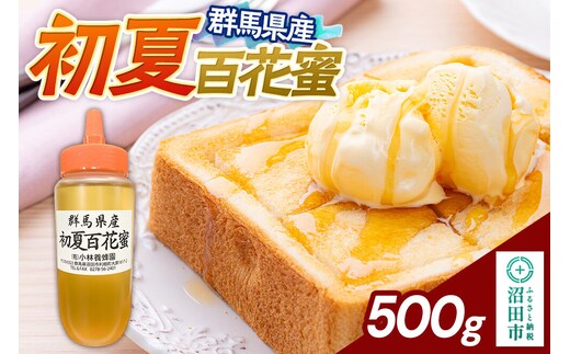 群馬県産 初夏百花蜜 500g [蜂蜜 はちみつ ハチミツ 国産 百花蜂蜜 百花蜜 癖のない甘さ あっさりした甘さ 沼田市]