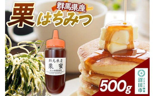 群馬県産 栗はちみつ 500g [蜂蜜 はちみつ ハチミツ 国産 栗 クリ くり ミネラル豊富 栄養価が高い 沼田市]