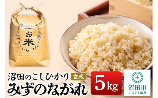 令和7年産 新米 沼田のこしひかり「みずのながれ」群馬県沼田市産 玄米 5kg コシヒカリ