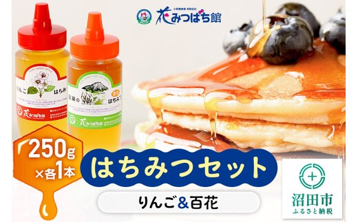 《満天☆青空レストラン紹介》 りんご・尾瀬のはちみつ（百花）セット 各250g 花みつばち館 [蜂蜜 はちみつ ハチミツ 詰合せ 詰合わせ 詰め合せ セット]