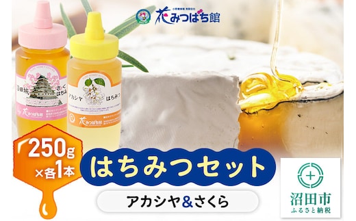 《満天☆青空レストラン紹介》 アカシヤ・沼田城さくらはちみつセット 各250g 花みつばち館 [蜂蜜 はちみつ ハチミツ 詰合せ 詰合わせ 詰め合せ セット]