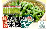 厳選 天狗印枝豆「味緑（みりょく）」約1.25kg [枝豆 えだまめ エダマメ 茶豆 えだ豆 エダ豆]