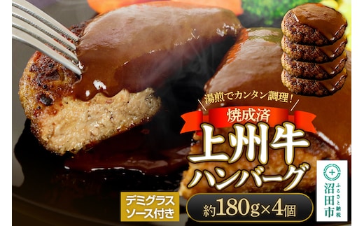 CAS印 上州牛ハンバーグ（デミグラスソース別添）約180g×4 株式会社沼田魚菜市場仲卸