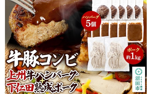 CAS印 牛豚コンビ 上州牛ハンバーグ5個×下仁田熟成ポーク約1kg 株式会社沼田魚菜市場仲卸