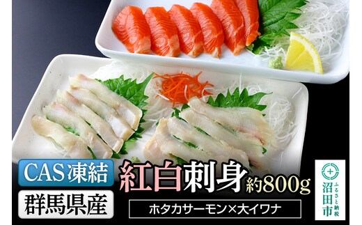 CAS印 群馬県産ホタカサーモン×大イワナの紅白刺身 約800g 株式会社沼田魚菜市場仲卸
