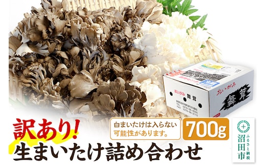 【訳あり】おいがみ舞茸園 生まいたけ詰め合わせ