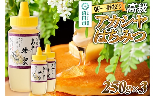 《満天☆青空レストラン紹介》 朝一番搾り！ 高級アカシヤはちみつ 250g×3本 花みつばち館 [蜂蜜 はちみつ ハチミツ 国産 高級]