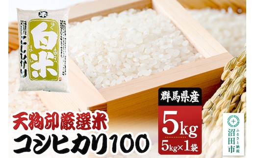 令和7年産 天狗印厳選米「コシヒカリ100」5kg 精米 白米 こしひかり