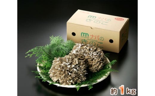 特選舞茸 約1kg（箱入り） ／ キノコ きのこ マイタケ まいたけ 群馬県 ANO001