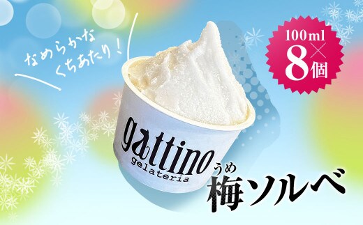gelateria gattino 安中市秋間梅林の梅ソルベ(シャーベット)８個 /ANBB004