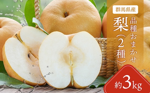 【先行予約】【品種おまかせ】群馬県産「梨」(2種類)約3kg【9月中旬～9月下旬発送予定(9/20～26除く)】ANAH003