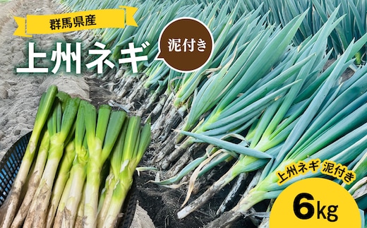 【先行予約】群馬県産 上州ネギ 泥付き6㎏ ANBQ001