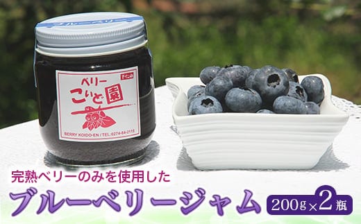 ベリーこいど園 ブルーベリージャム F21K-088