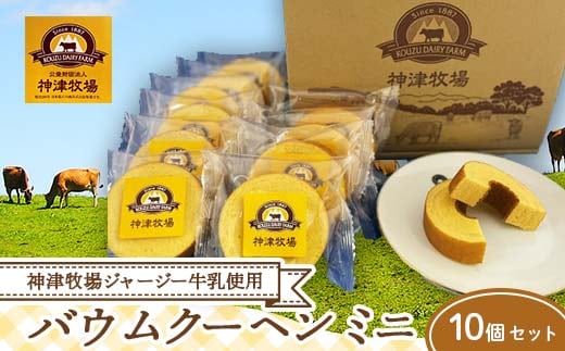 【神津牧場】ミニバームクーヘン10個セット こだわり ジャージー牛乳 手土産 おやつ デザート スイーツ F21K-306