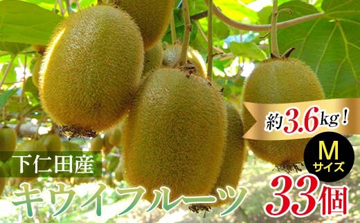 ＜先行予約＞ 2年連続受賞「A品数量限定」下仁田町のキウイフルーツ 約3.6kg(1玉 Mサイズ 95g以上) キウイ フルーツ キウイフルーツ デザート 果物 F21K-463