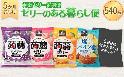 5か月連続お届け蒟蒻ゼリー定期便 540粒 ゼリーのある暮らしセット F21K-482